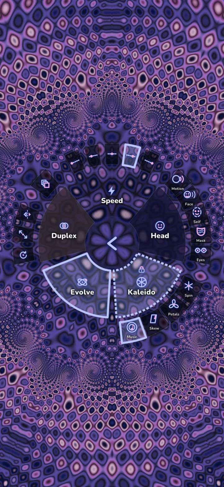 The circular Vibe menu with controls for Speed, Head, Kaleido, Evolve, and Duplex, plus their related mode petals.